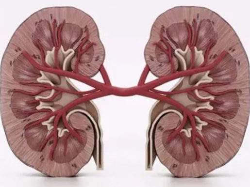 urologist-005 Kidney Cancer